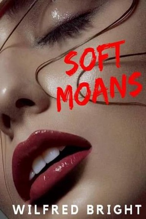 Cover of SOFT MOANS